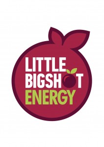 LBS Logo(1)